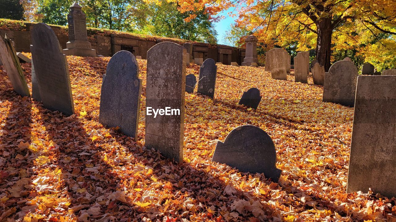 autumn, cemetery, grave, leaf, plant part, tree, nature, plant, tombstone, no people, death, day, stone, sunlight, history, outdoors, architecture, land, the past, memorial, orange color, tranquility, built structure