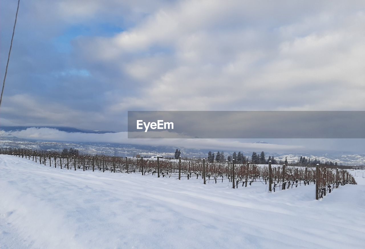 Scenic view of snowcapped field against sky