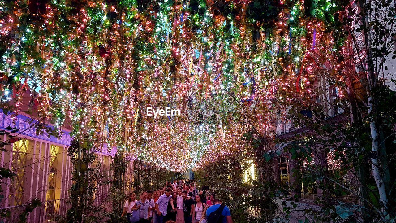 GROUP OF PEOPLE ON CHERRY TREES AT NIGHT