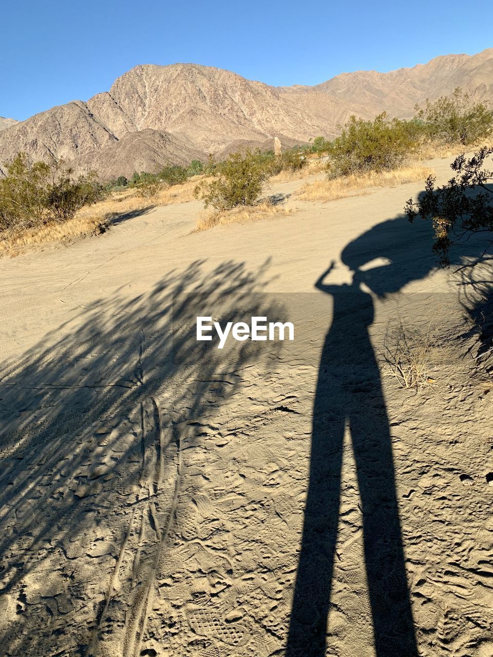 SHADOW OF PERSON ON DESERT