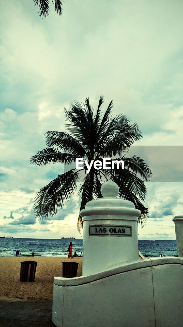 PALM TREES ON BEACH AGAINST CLOUDY SKY