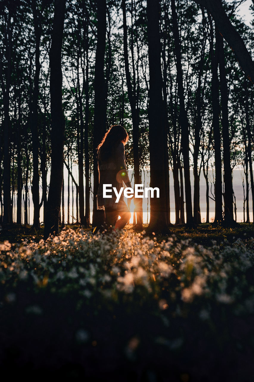 Silhouette woman standing amidst trees in forest at sunset