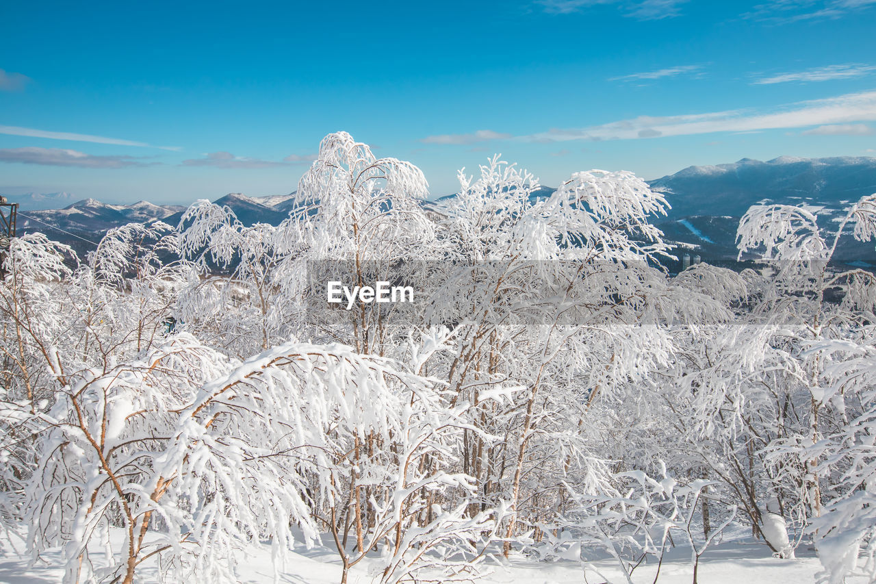 panoramic view of snow covered mountains against sky