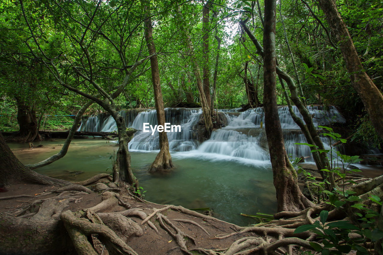 WATERFALL IN FOREST