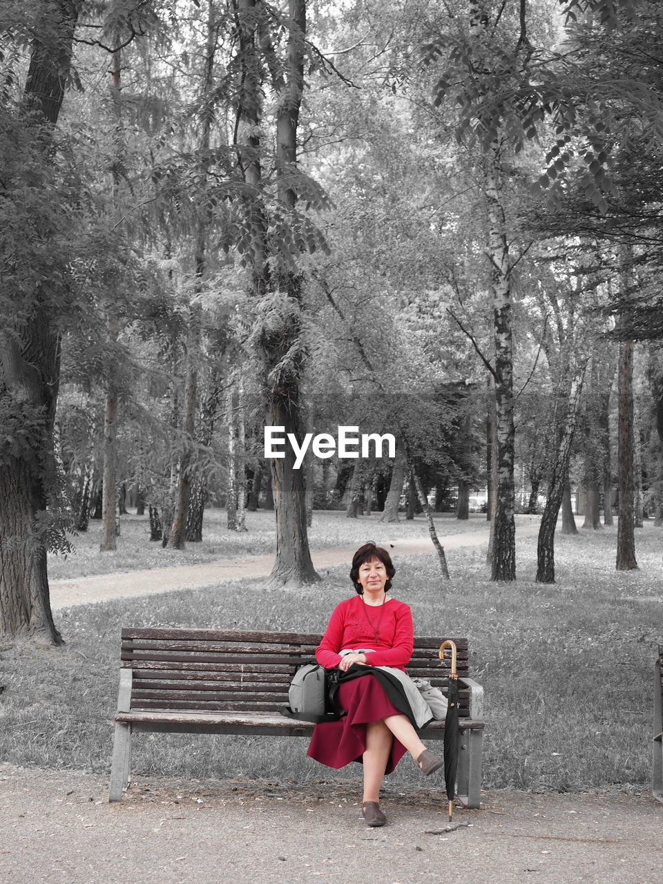 PORTRAIT OF BOY SITTING ON BENCH AT PARK