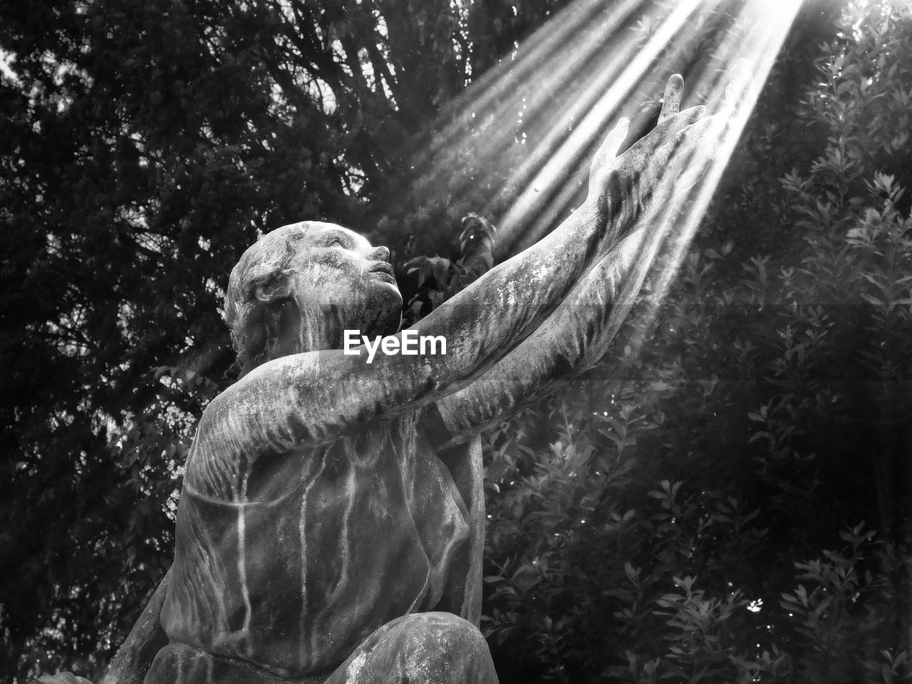 Sunlight falling on statue against trees