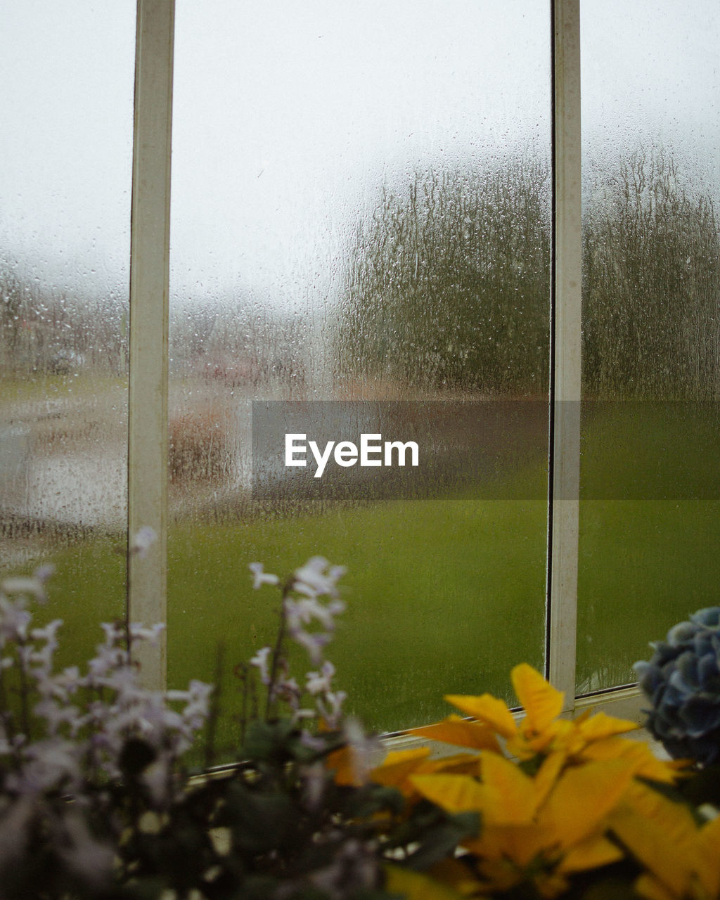 CLOSE-UP OF RAINDROPS ON WINDOW