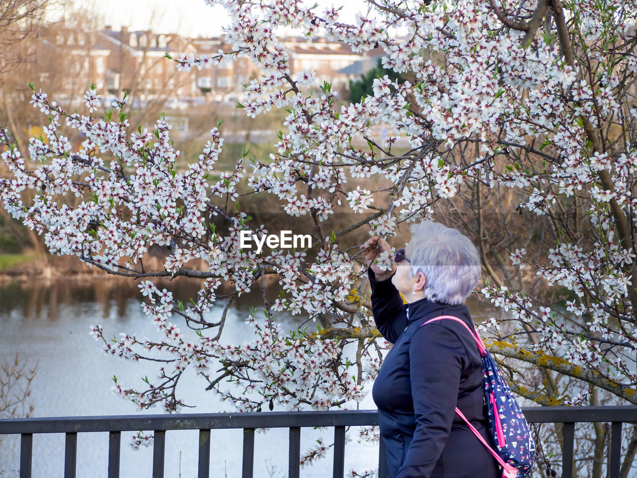 Side view of woman holding flowering tree branches on footbridge