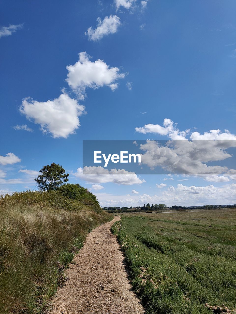 sky, landscape, cloud, environment, plant, land, nature, grass, field, hill, scenics - nature, horizon, rural area, blue, beauty in nature, soil, grassland, no people, road, footpath, rural scene, dirt, dirt road, prairie, the way forward, tranquility, travel, tree, natural environment, non-urban scene, outdoors, day, agriculture, tranquil scene, travel destinations, meadow, plateau, plain, tourism, green, diminishing perspective, growth, horizon over land, cloudscape, vanishing point, transportation