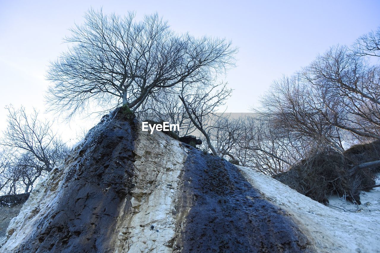 Low angle view of bare trees on rock formations during winter