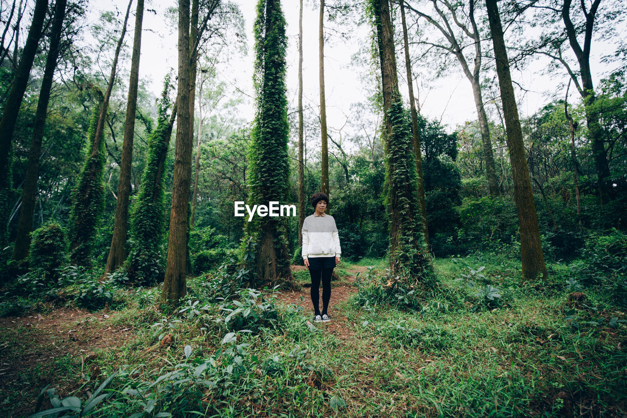 REAR VIEW OF MAN STANDING BY TREE IN FOREST