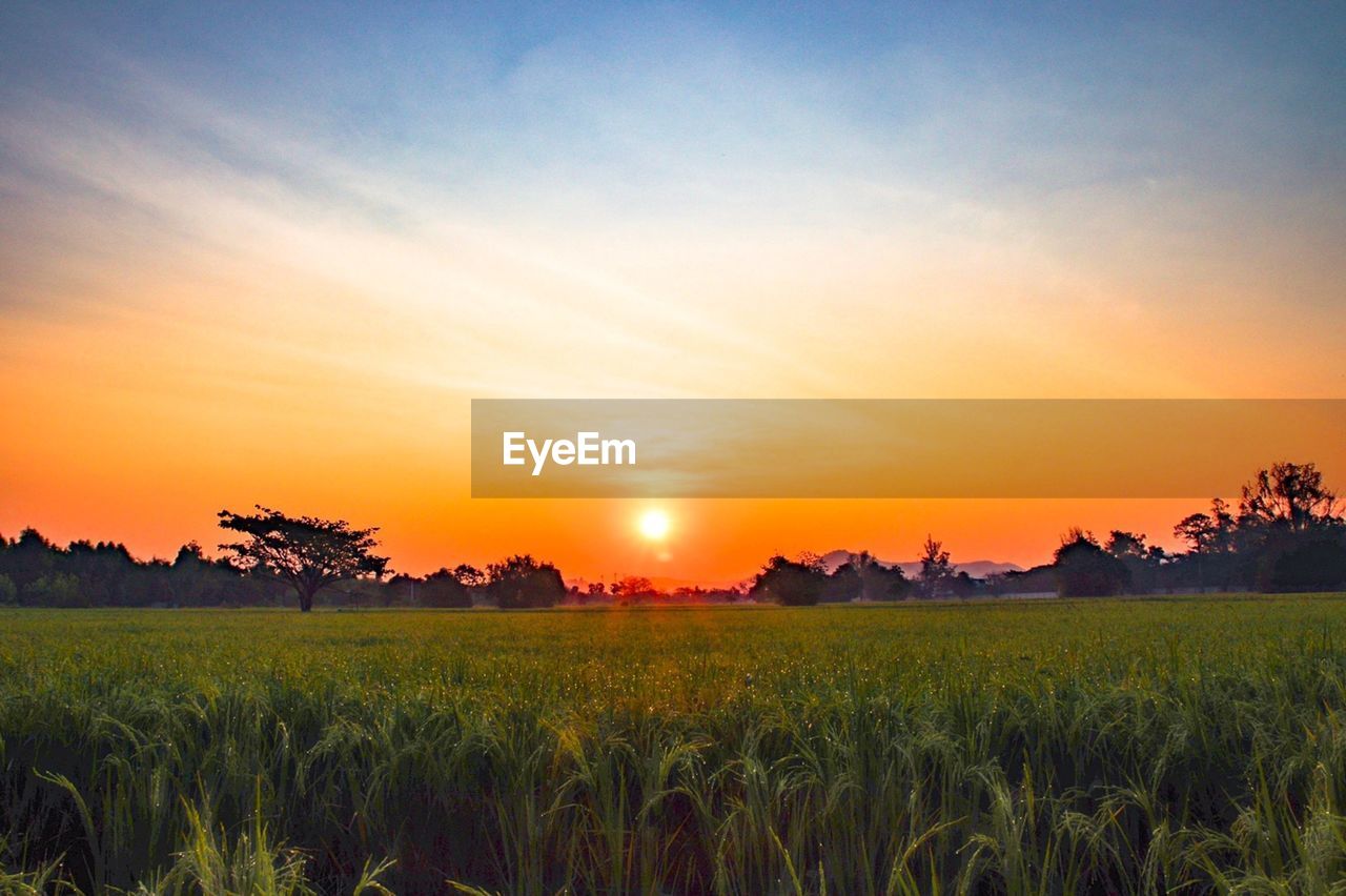 SCENIC VIEW OF FARM AGAINST SKY DURING SUNSET