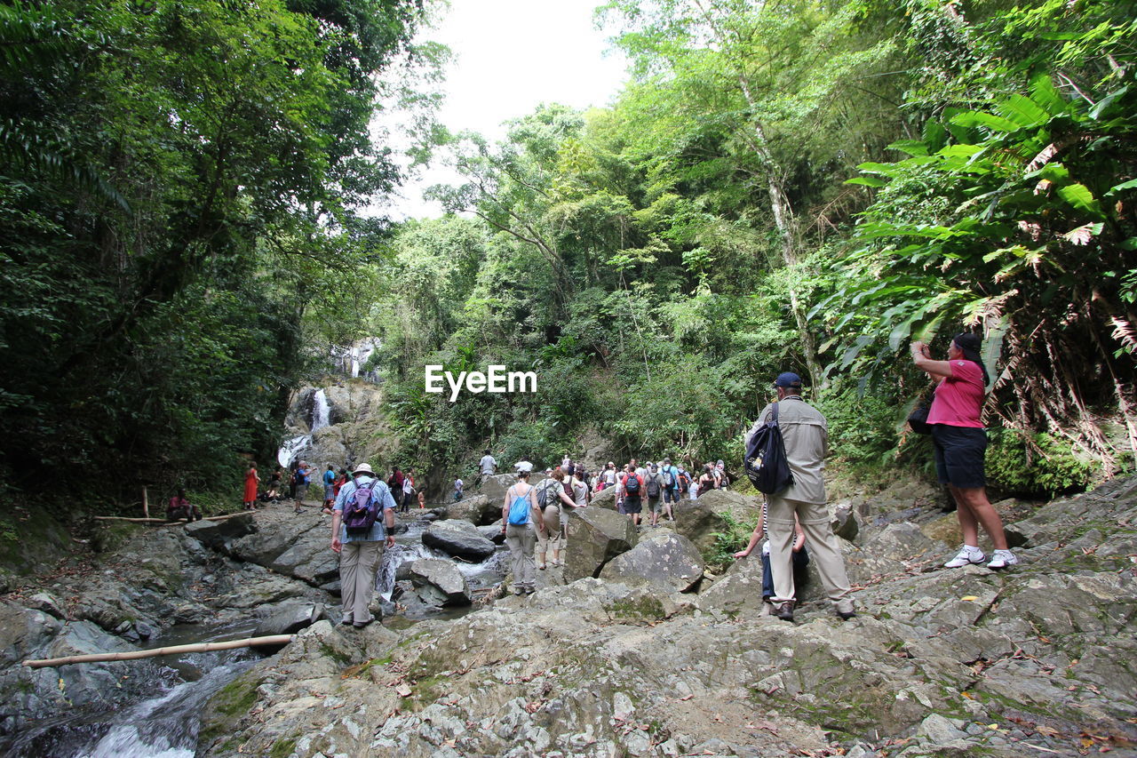 PEOPLE IN FOREST