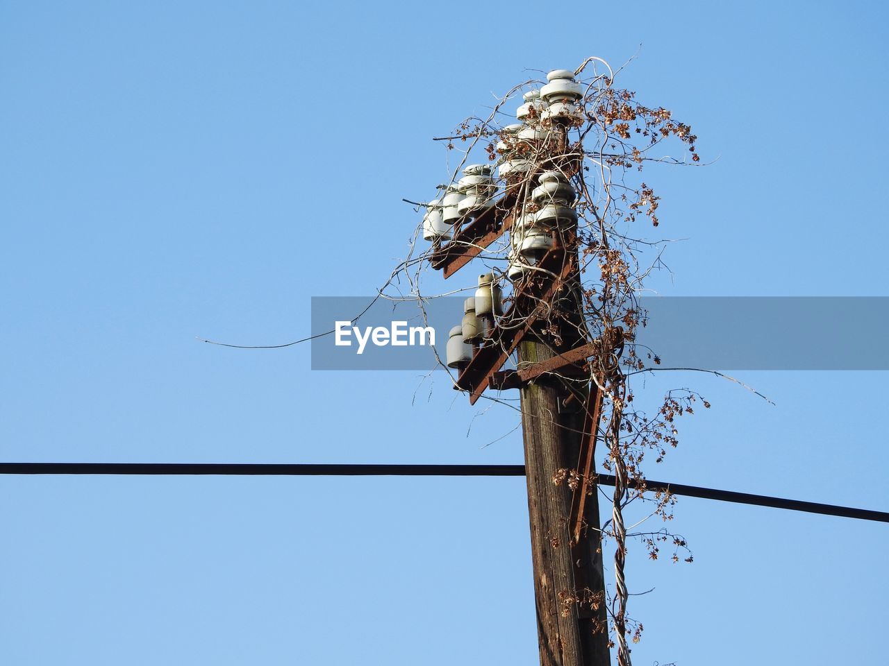 LOW ANGLE VIEW OF BIRD PERCHING ON CABLE AGAINST SKY