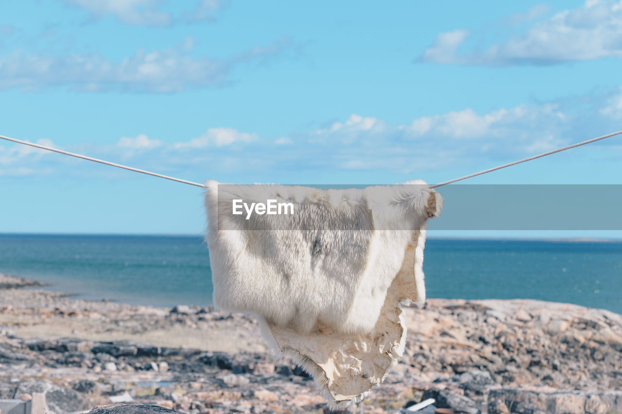 Close-up of fur hanging on clothesline by sea against sky
