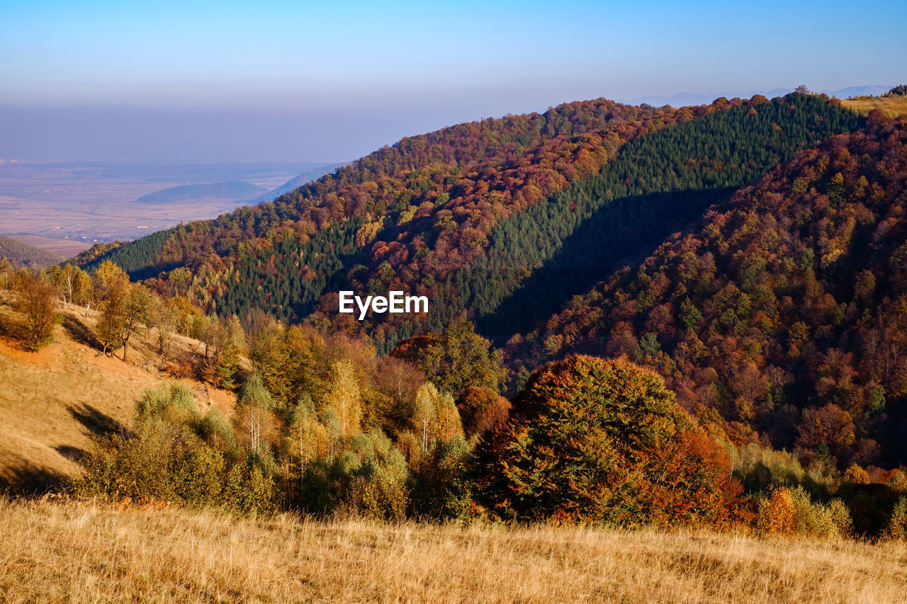 Scenic view of landscape against sky during autumn