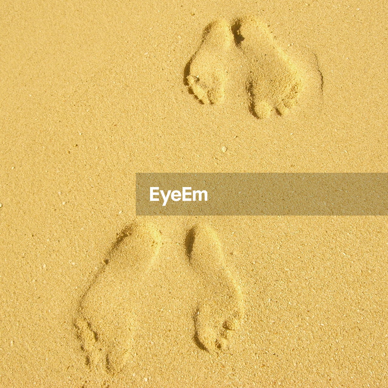 High angle view of footprints on beach