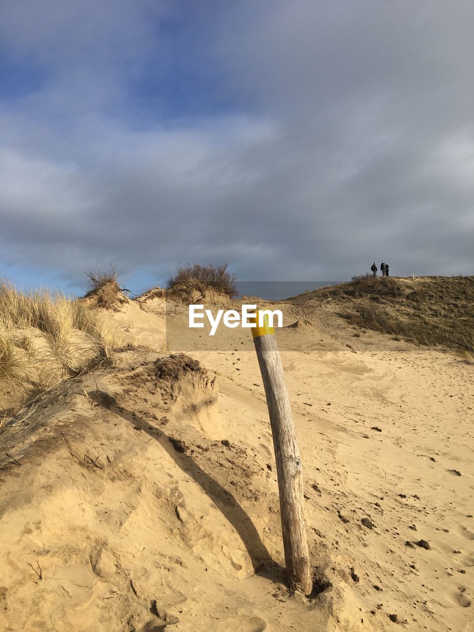 Scenic view of desert against sky