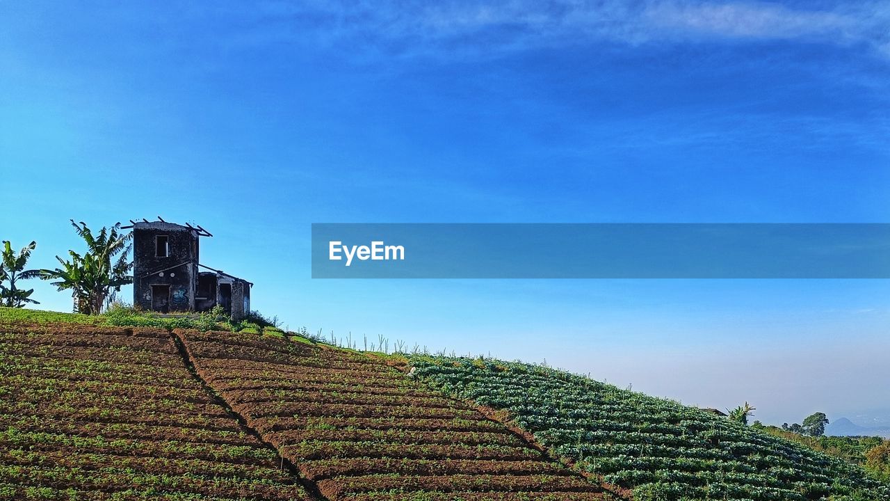 agriculture, landscape, rural scene, sky, crop, environment, plant, field, land, nature, growth, farm, food and drink, scenics - nature, architecture, food, blue, hill, rural area, plantation, cloud, no people, beauty in nature, travel, tree, social issues, outdoors, environmental conservation, green, building, flower, built structure, tranquility, day, tropical climate, tea crop, travel destinations, in a row, tourism