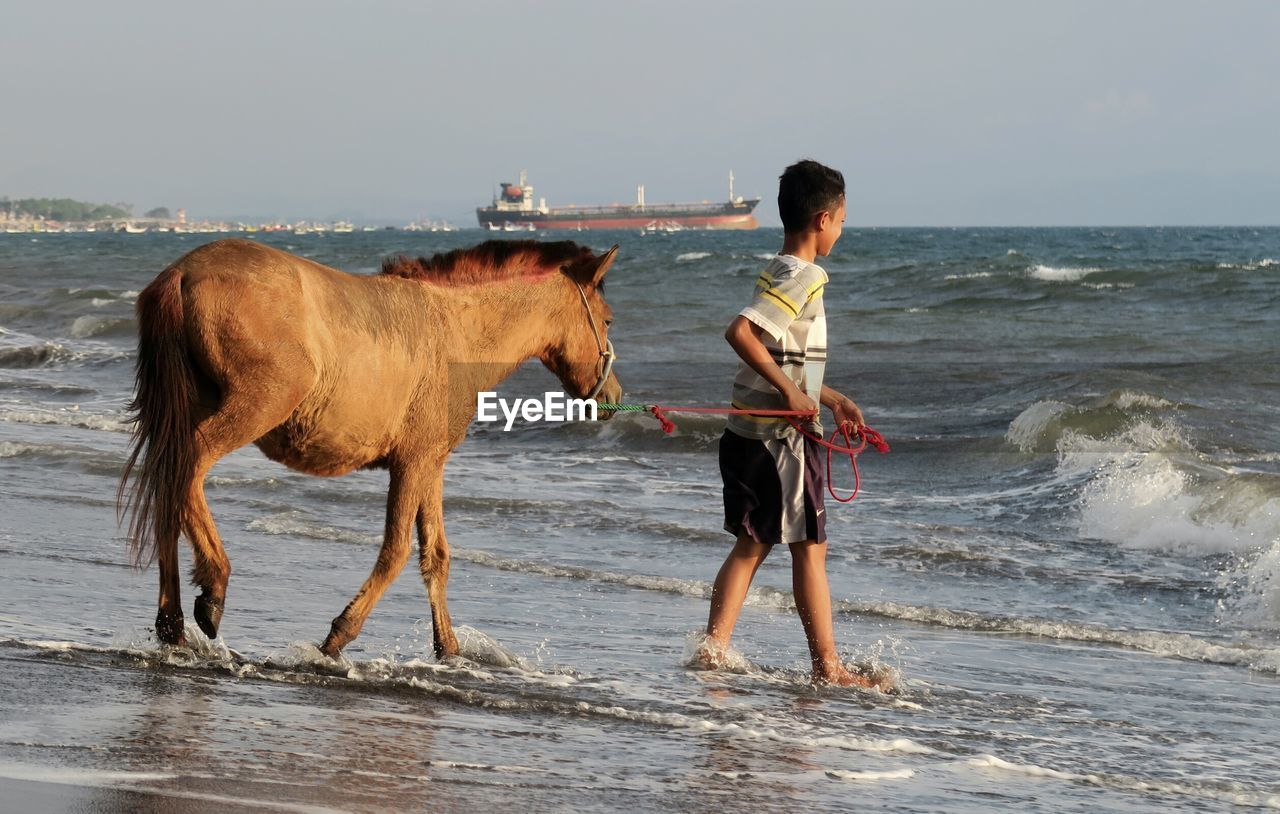 DOG STANDING ON SHORE