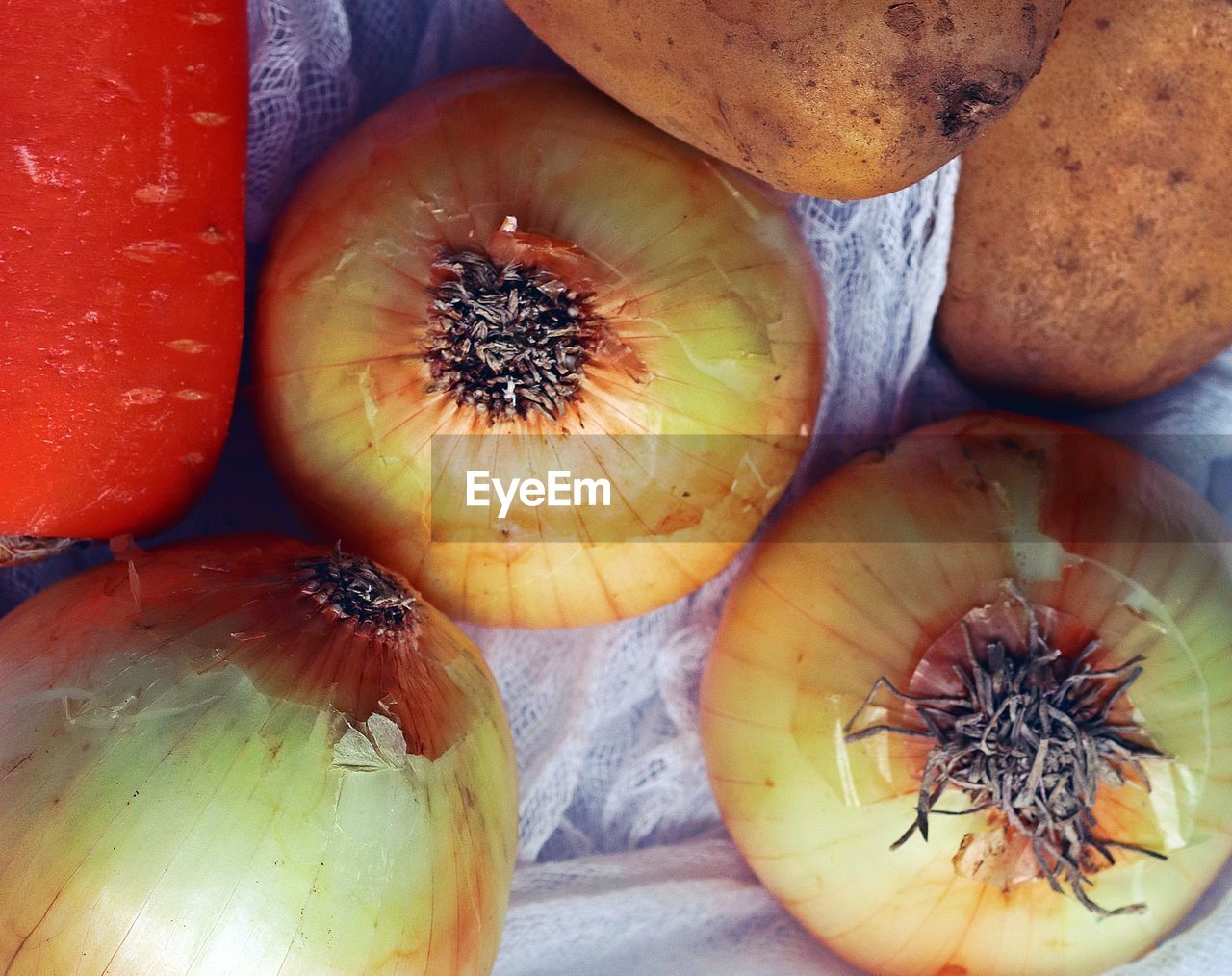 HIGH ANGLE VIEW OF PUMPKINS IN CONTAINER