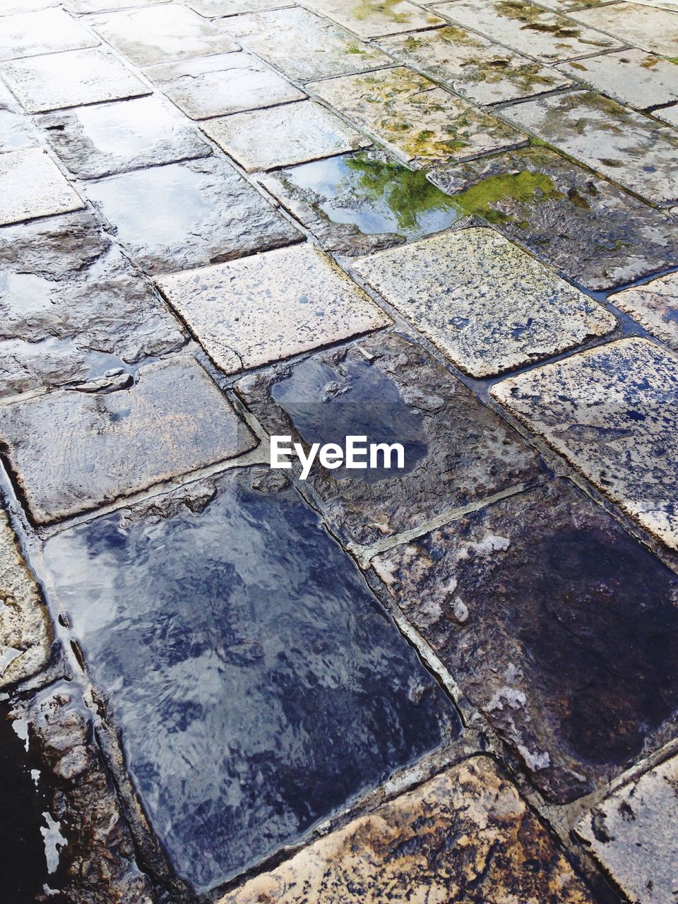 CLOSE-UP OF PUDDLE