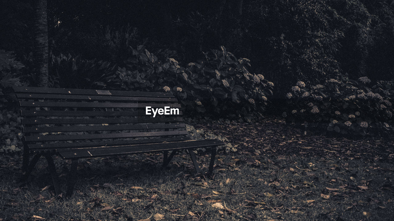 Empty bench on field in forest