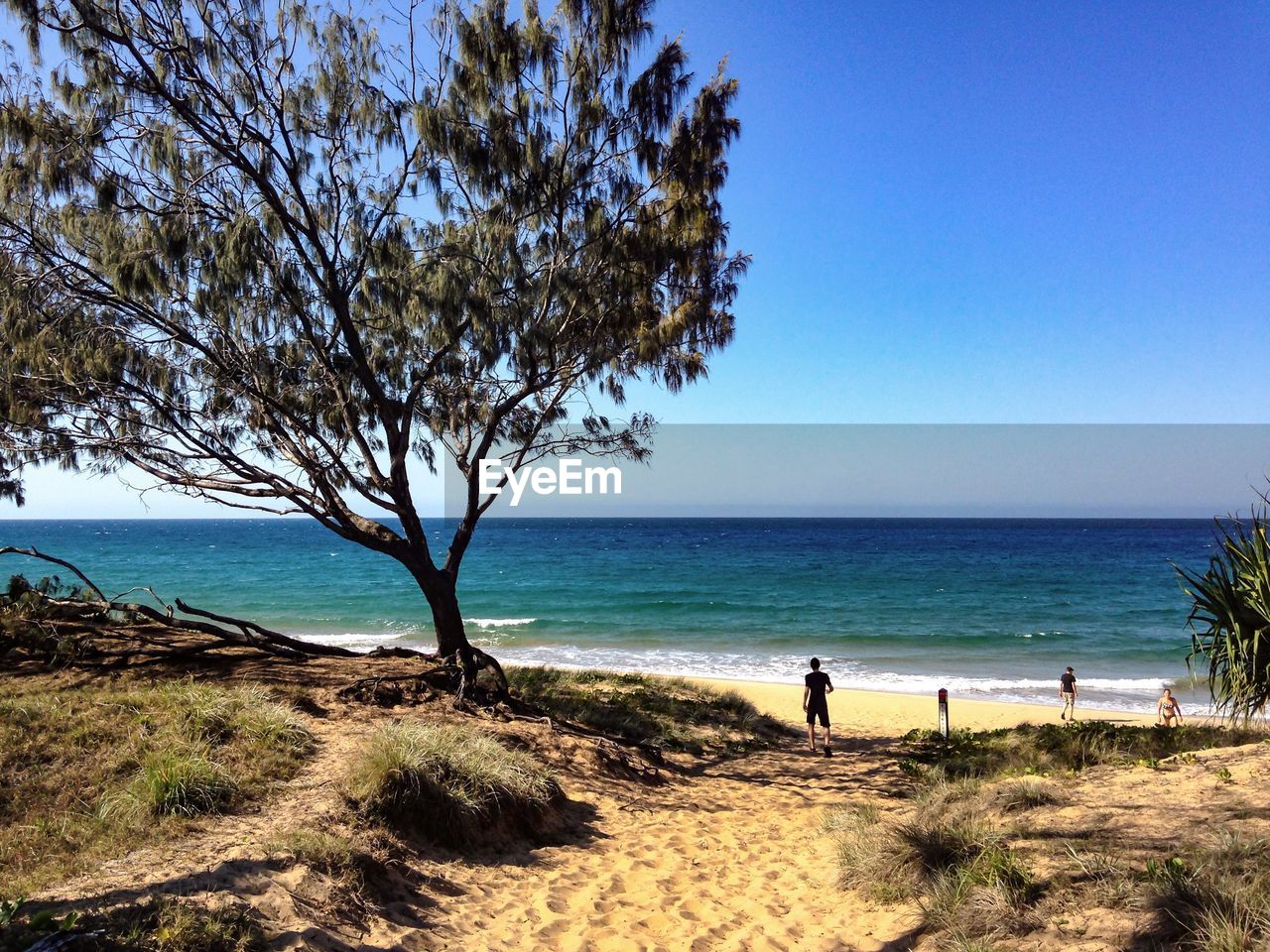 Scenic view of sea against clear blue sky