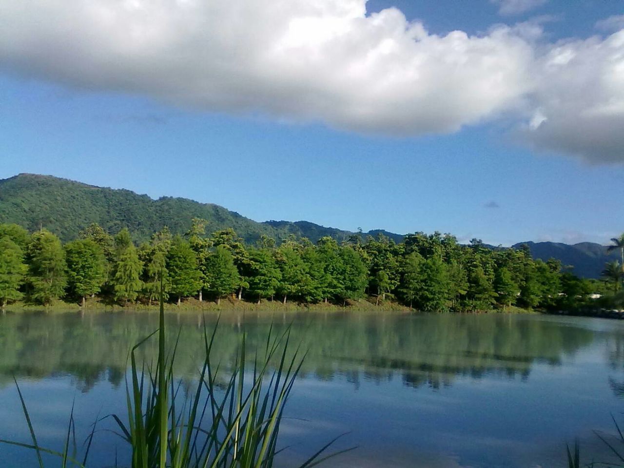 Scenic view of lake by trees against sky