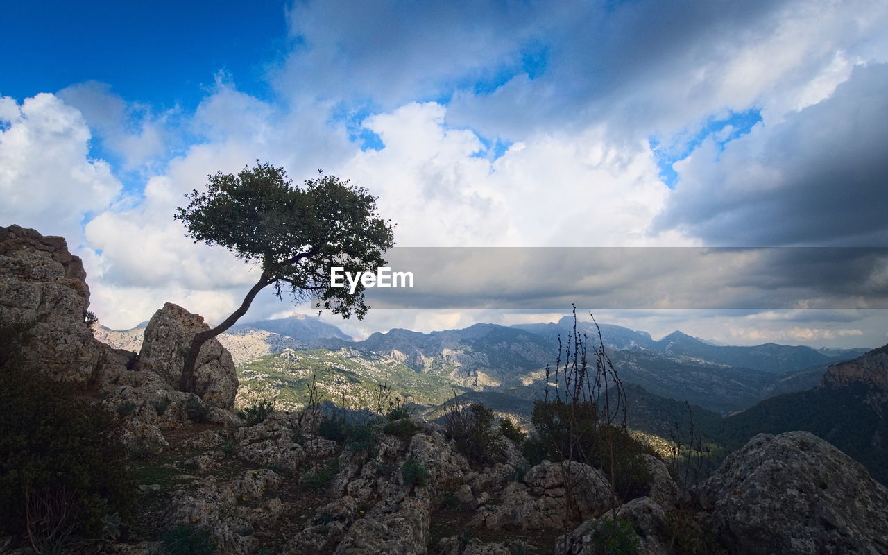 sky, nature, mountain, environment, landscape, cloud, scenics - nature, wilderness, tree, beauty in nature, mountain range, plant, land, travel destinations, travel, rock, pinaceae, ridge, pine tree, tourism, coniferous tree, panoramic, forest, blue, outdoors, no people, non-urban scene, tranquility, mountain peak, valley, pine woodland, tranquil scene, plateau, vacation, trip, activity, social issues, holiday, adventure, summit