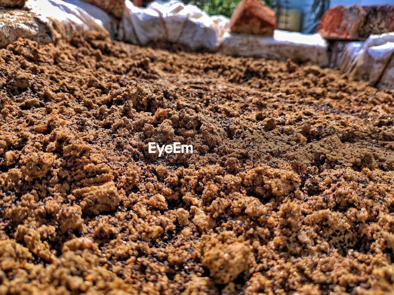 SURFACE LEVEL OF CORN ON FIELD