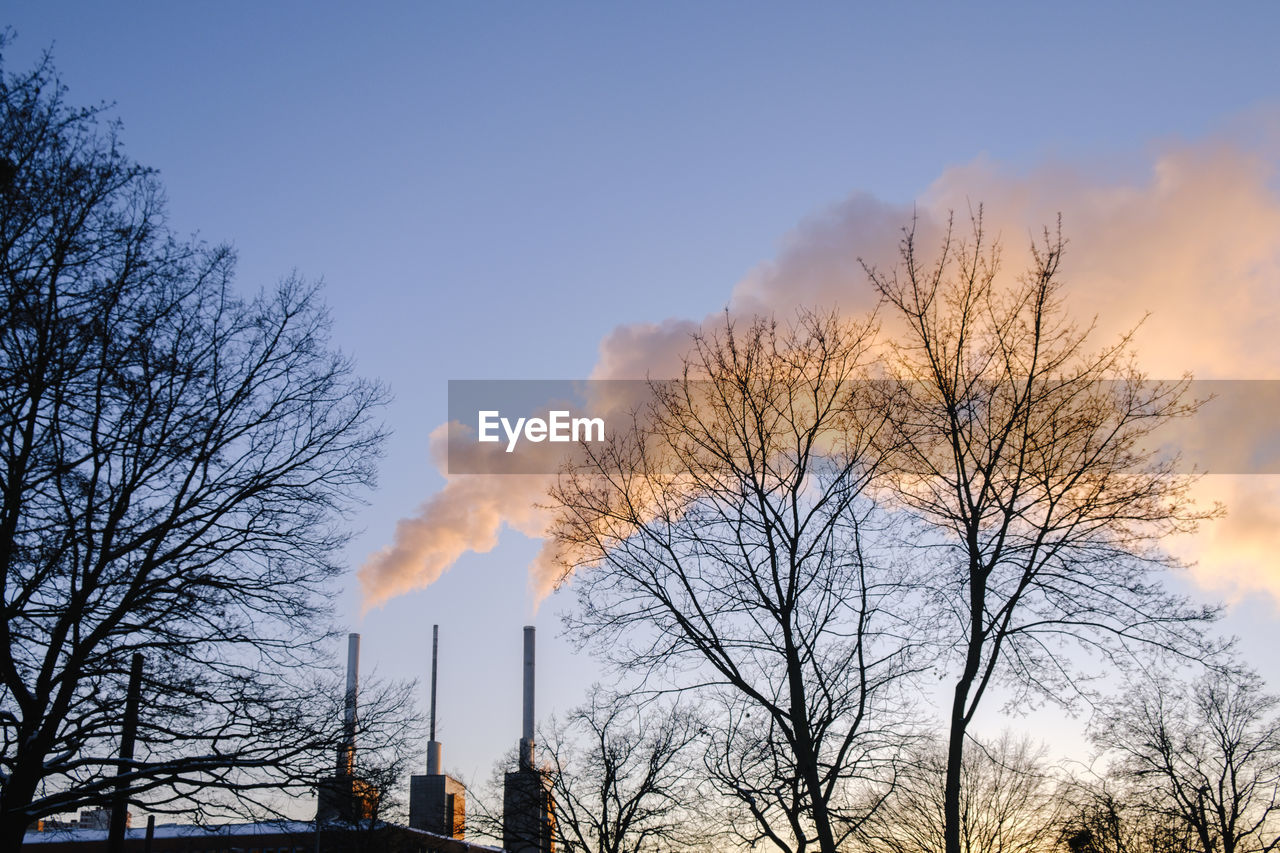 Low angle view of bare trees against sky