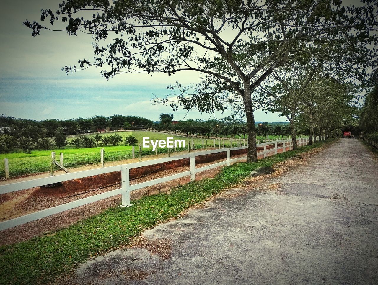 AGRICULTURAL FIELD AGAINST SKY