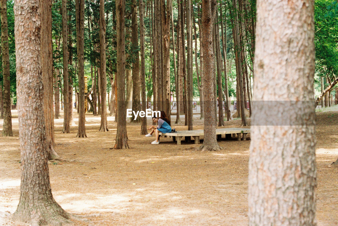 PEOPLE WALKING IN FOREST