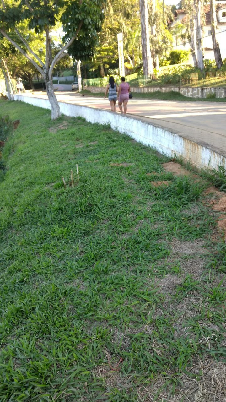 PEOPLE SITTING ON GRASS BY WATER