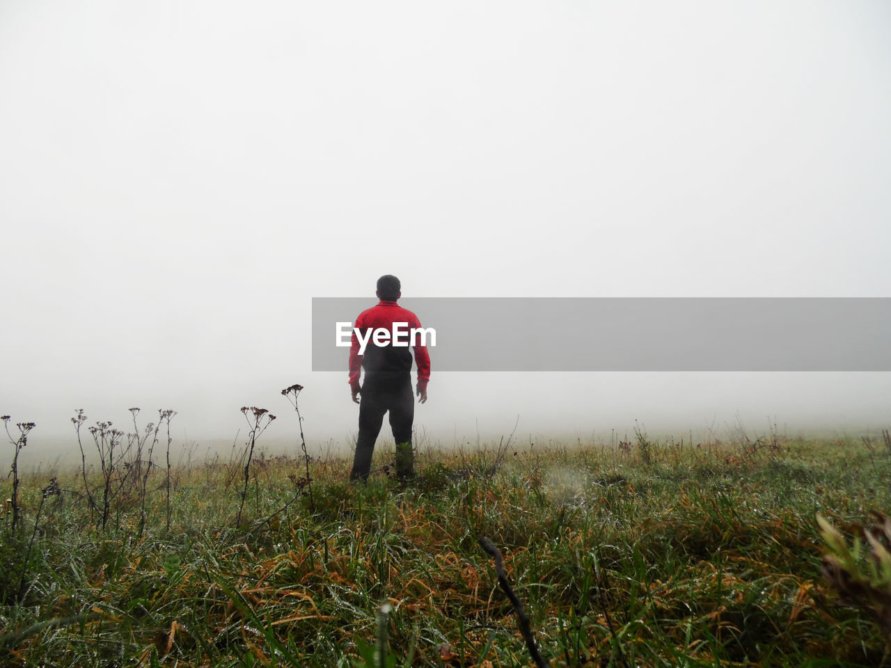 Rear view of man walking on field against sky