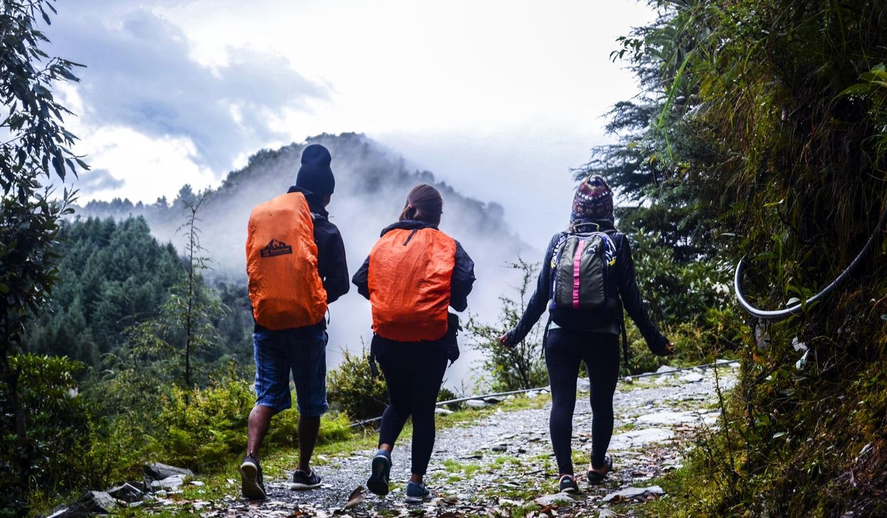 Rear view of friends walking on mountain road