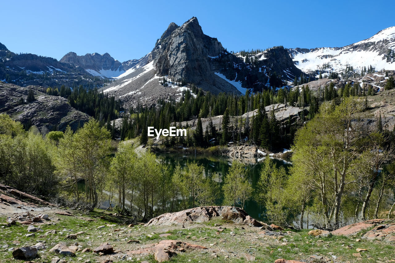 PANORAMIC VIEW OF TREES AND MOUNTAINS AGAINST SKY