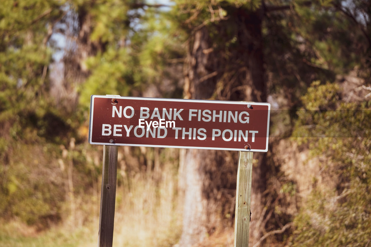 SIGN BOARD ON TREE