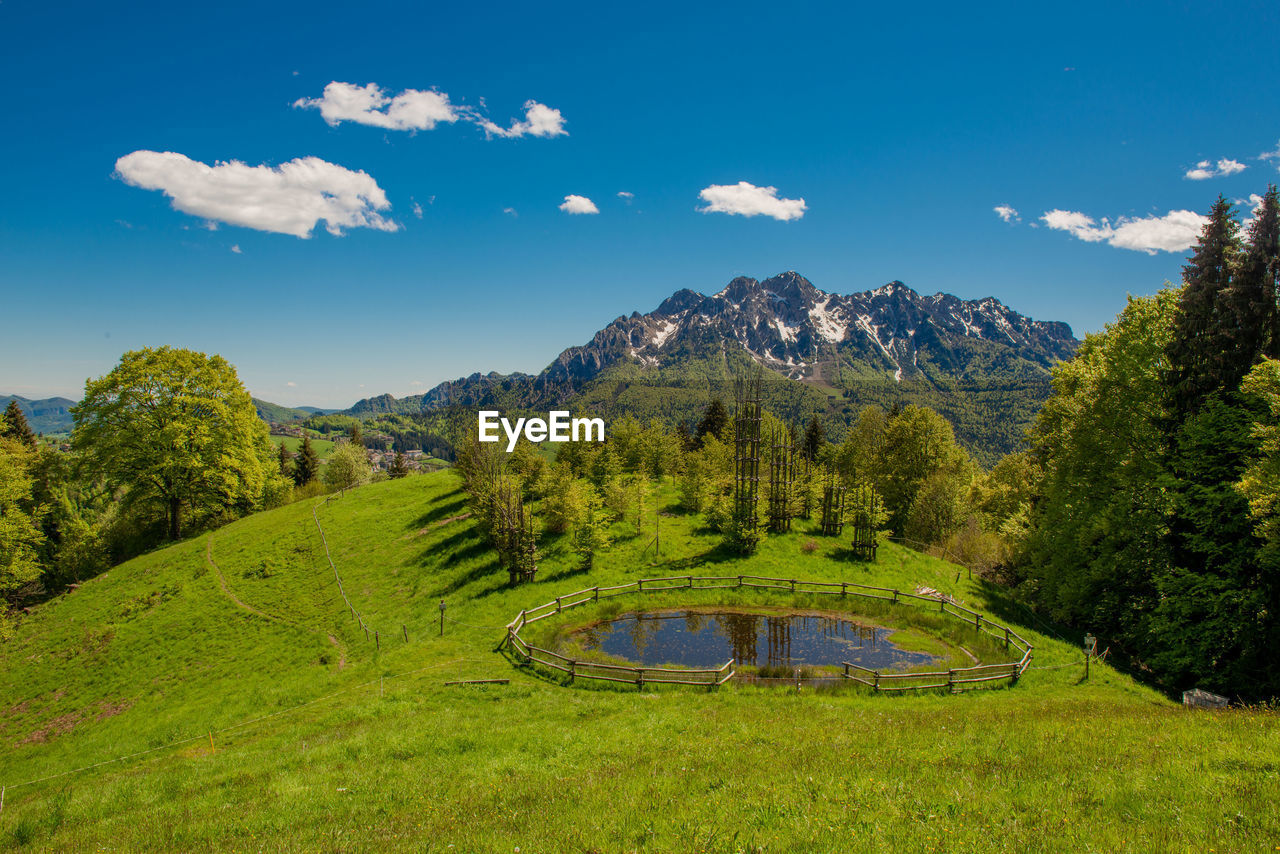 Mountain lake surrounded by flourishing vegetation