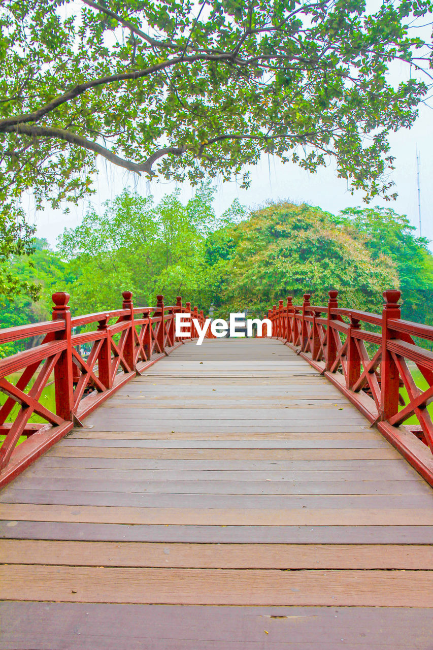 FOOTBRIDGE ALONG PLANTS AND TREES