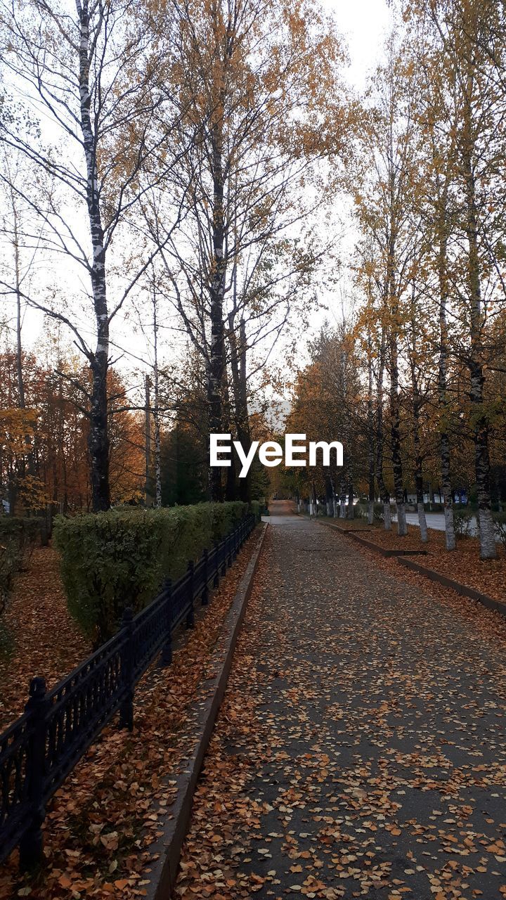 Road amidst leaves in park during autumn