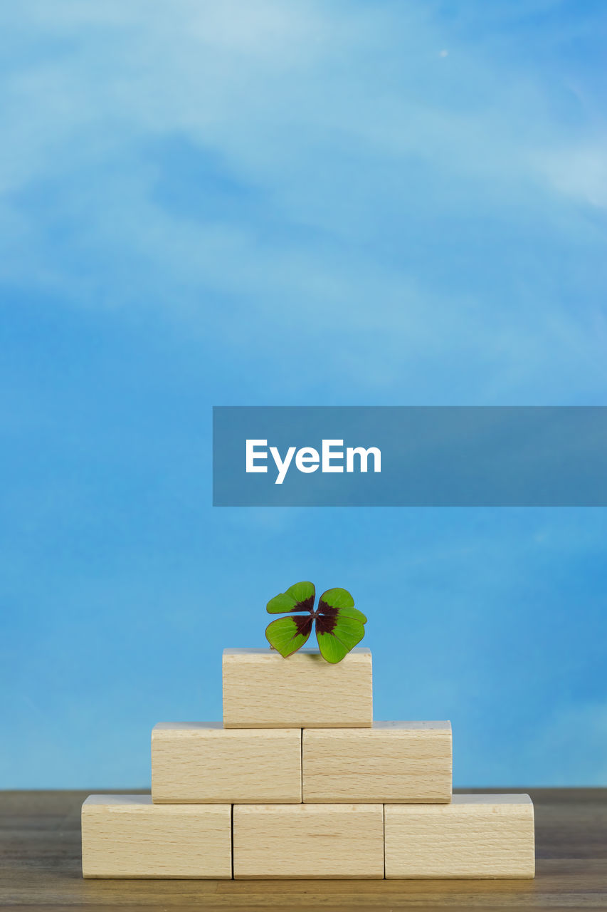 Close-up of wood against blue sky