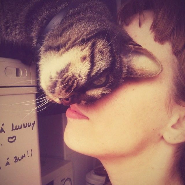 CLOSE-UP OF WOMAN HOLDING WHITE CAT