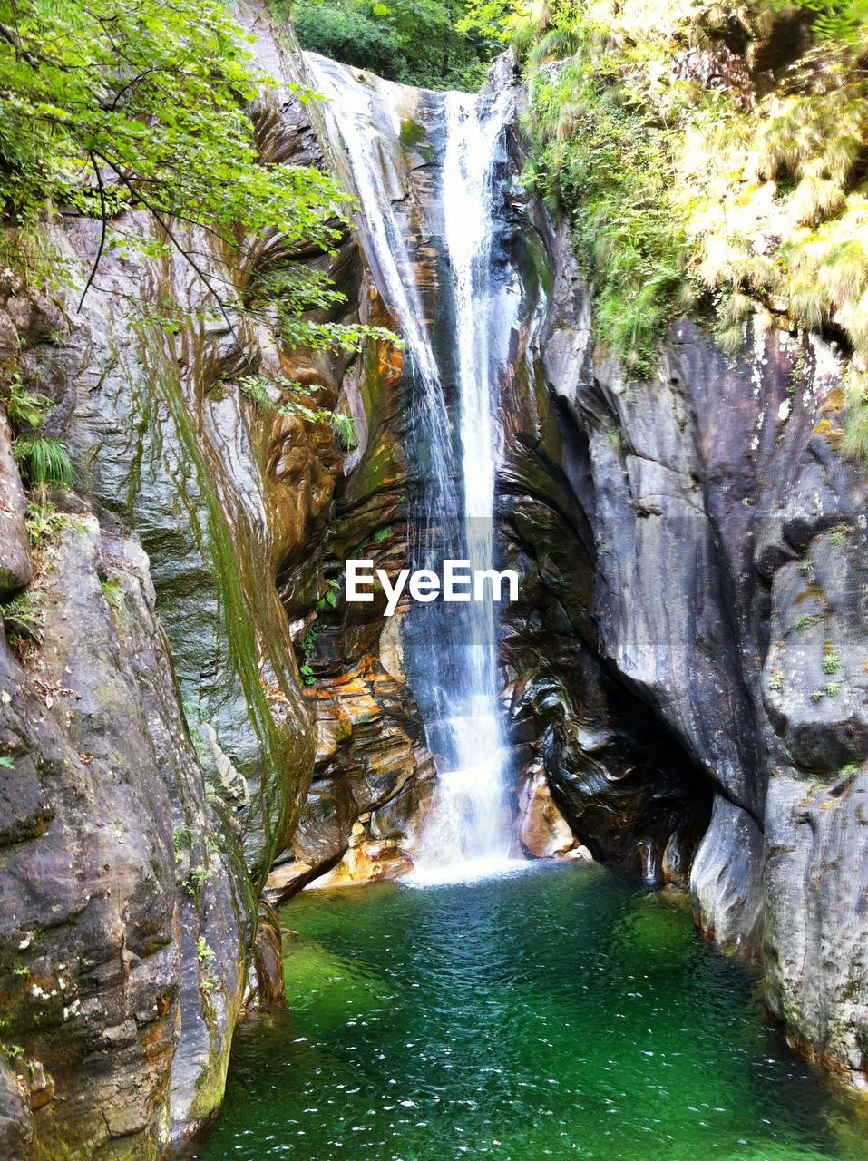 Scenic view of waterfall in forest