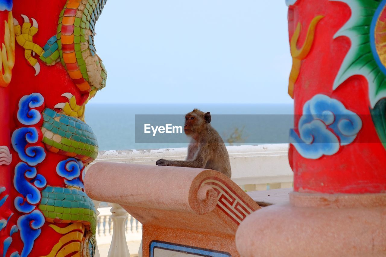 Side view of a monkey against calm sea