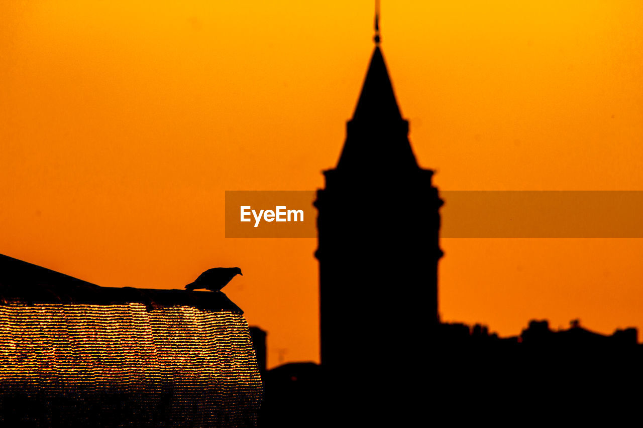 Silhouette of bird on roof