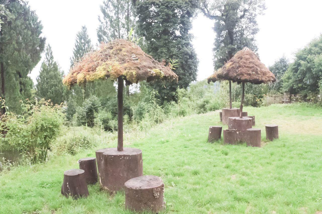 GAZEBO AGAINST TREES