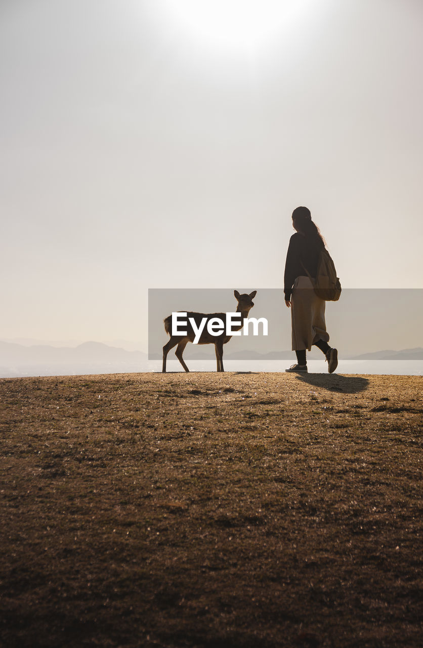 Girl on mount wakakusa with light during a low warm winter sun sight before sunset nara deer 