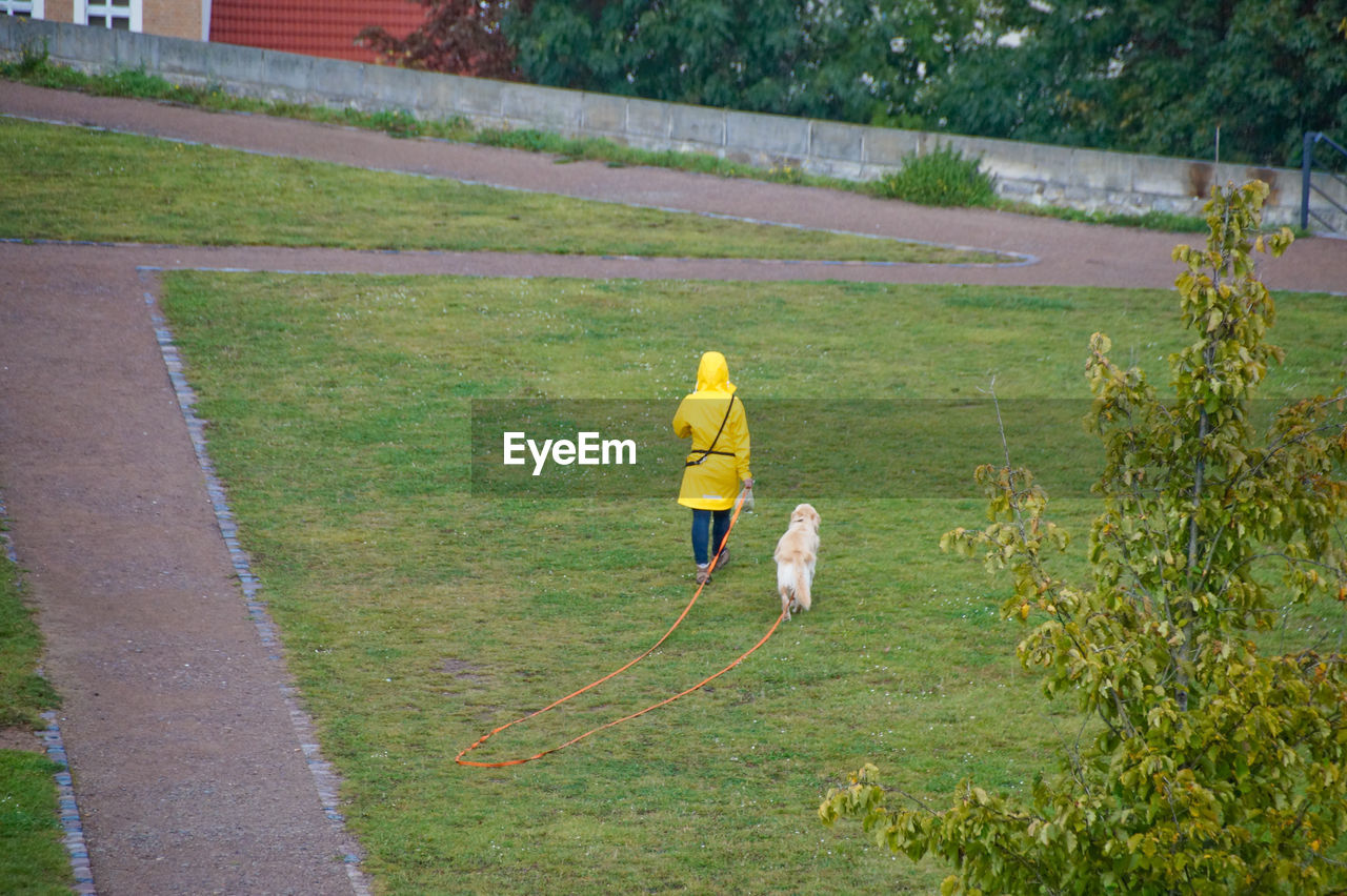 Rear view of person with dog standing on field at public park